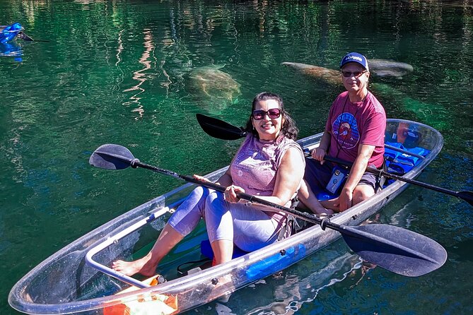 Weeki Wachee Clear Kayak Ecotours Manatee Season - November 14th-March 31st - Manatee Season and Ideal Conditions