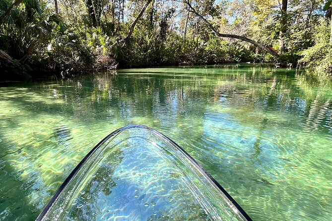 Weeki Wachee Clear Paddle Board Ecotours - Experiencing the Weeki Wachee River