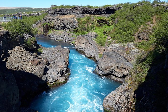 West Coast and Waterfalls Private Tour - Customer Feedback and Ratings