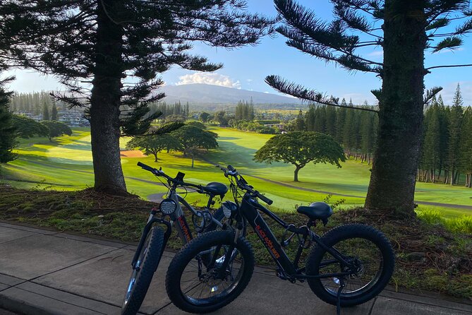 West Maui: Self-Guided E-Bike Kapalua Jungle Adventure Tour - Safety Concerns