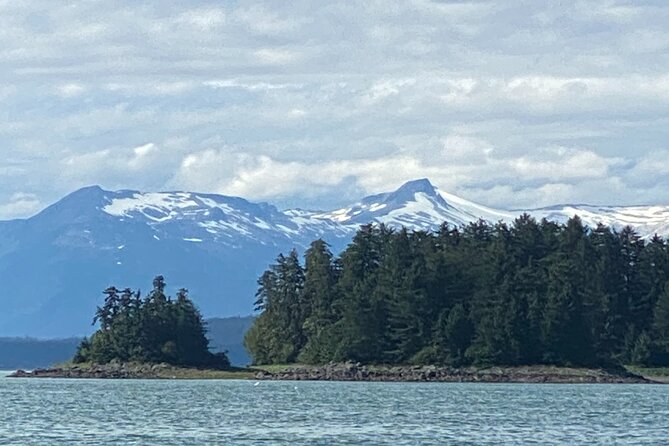 Whale Watching Adventure in Juneau - Knowledgeable and Engaging Crew