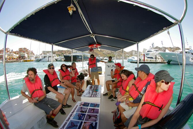 Whale Watching Snorkel Combo - Tips for Your Adventure