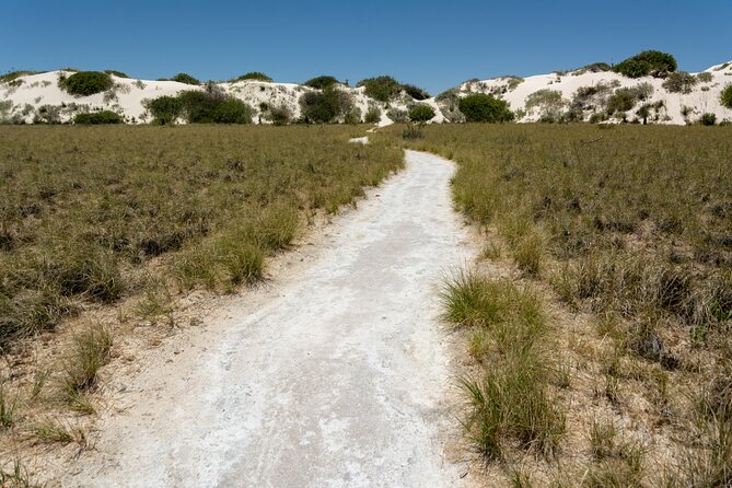 White Sands National Park Tour Review - Tour Accessibility and Timing
