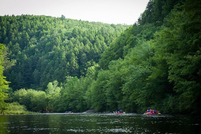 Whitewater Rafting Bus Trip From NYC Review - What to Expect on the Rafting Trip