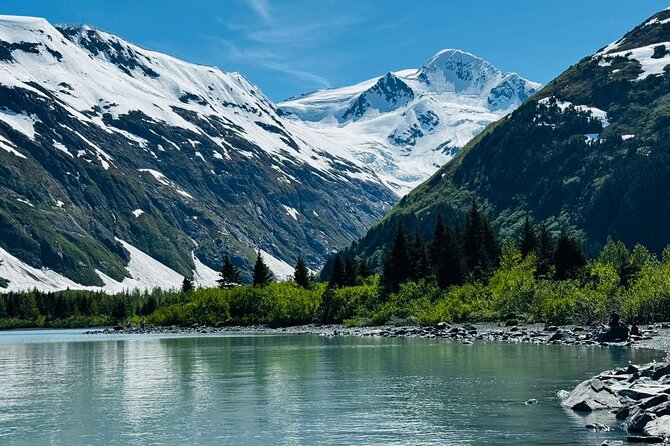 Whittier to Anchorage Land Transfer Tour - Scenic Stops and Wildlife Sightings