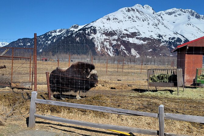Wildlife Center With Lunch & Local Beer Sampling - Winter&Summer - Seasonal Highlights: Winter