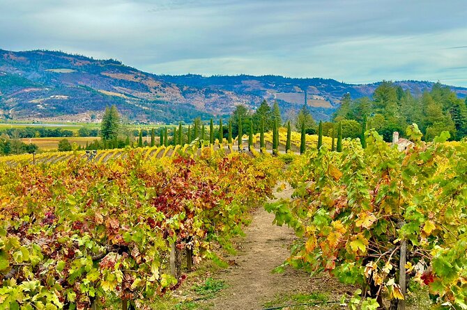 Wine Tour Transportation Services in Napa Valley - Unique Features of the Wine Tour Experience
