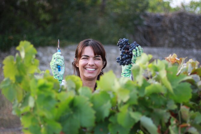 Winemaker-Owner Led Tour, Tasting & Tapas @ Adega Belém Winery - Booking Confirmation