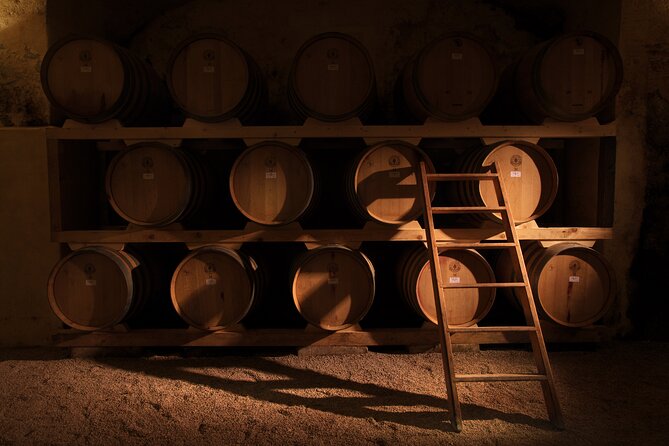 Winery Tour and Tasting in Salento - Accessibility for All Visitors