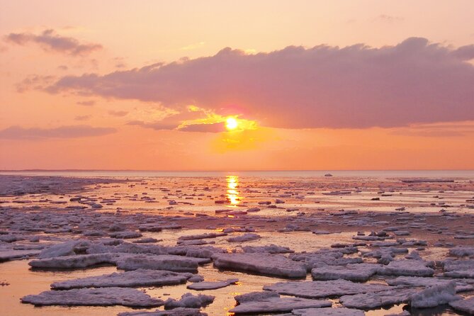 Winter in Hokkaido! Visit Asahiyama Zoo, the Frozen Ice Sea and Sunset Cruise - Asahiyama Zoo: An Arctic Wonderland