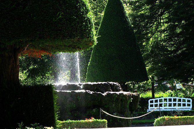 Würzburg - Private Tour Including Visit to Residence - Reviews and Ratings