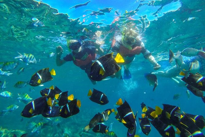 Yelapa Beach & Snorkel Tour Aboard a Luxury Yacht -Private Groups - Guest Reviews