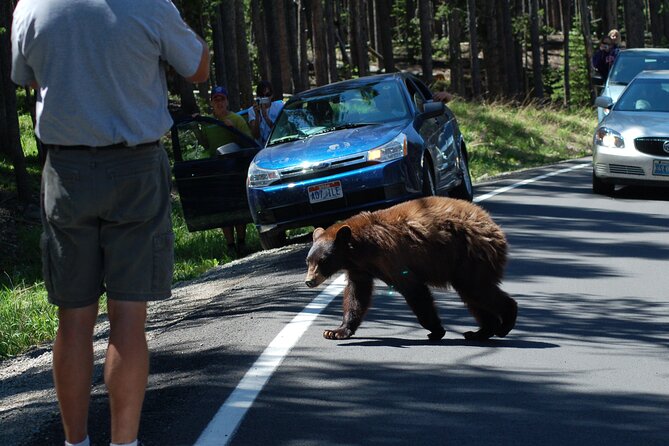 Yellowstone Grand Tour: See All Yellowstone In One Day - Pricing and Group Size Options