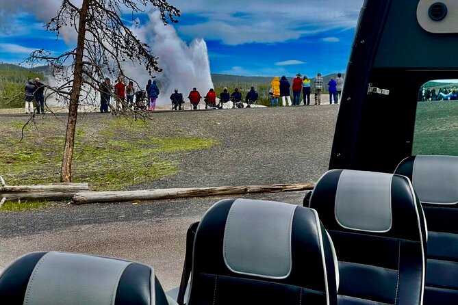 Yellowstone"Open Air" Glass Top Convertible Van West Yellowstone - Wildlife Viewing Opportunities