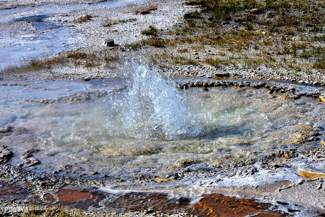 Yellowstones Old Faithful Self-Guided Walking Tour - Booking, Confirmation, and App Requirement