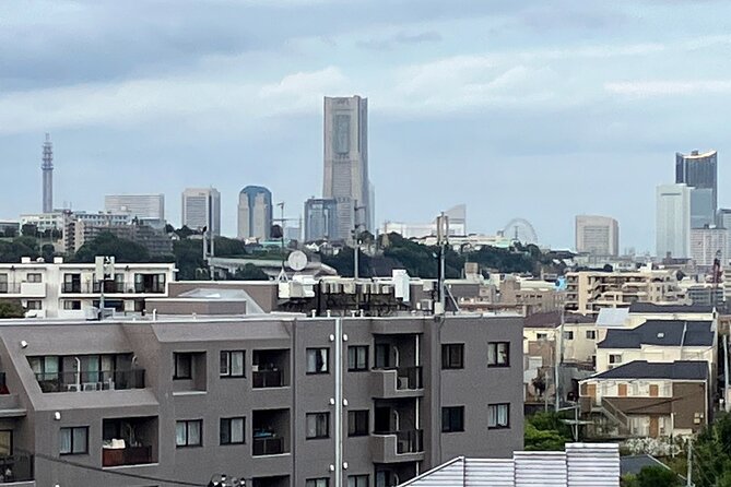 Yokohama Full Day Tour With an Expert Local - Accessibility and Inclusivity