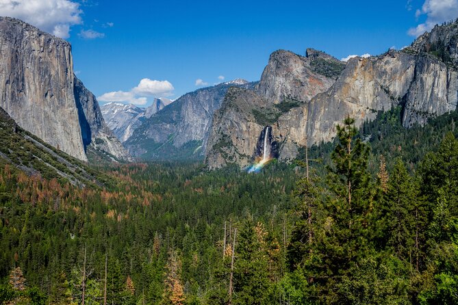 Yosemite and Giant Sequoias Day Tour - Recommendations for Improvement