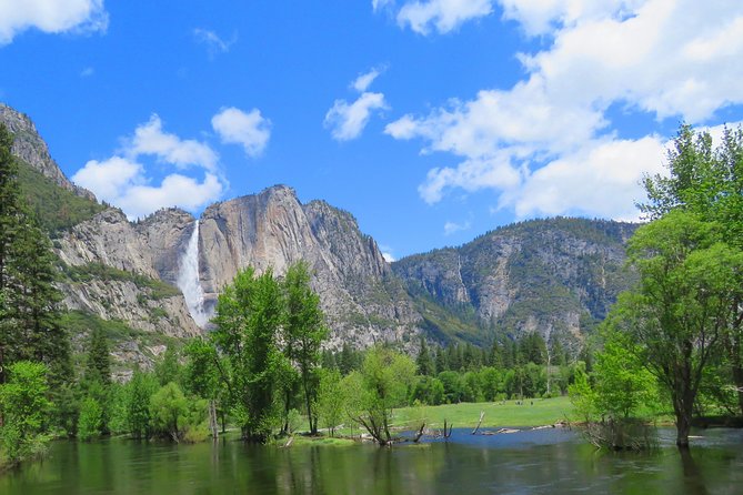 Yosemite National Park Tour Package Review - Customer Feedback and Experiences