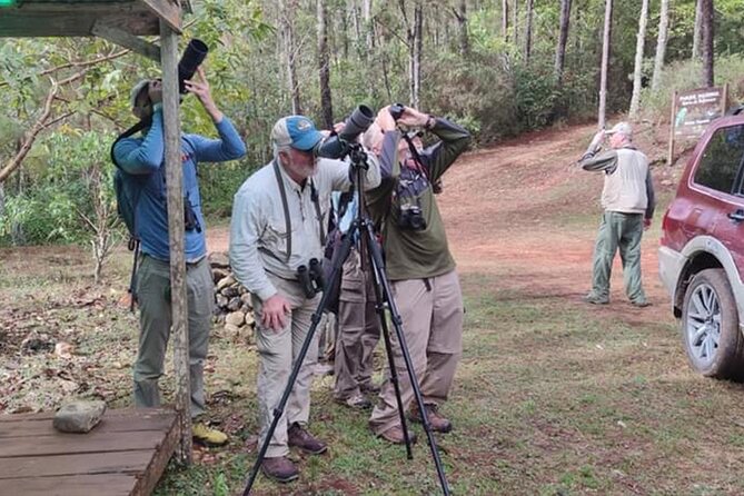 6-Day Bird Watching Tour in the Sierra De Bahoruco - Key Points