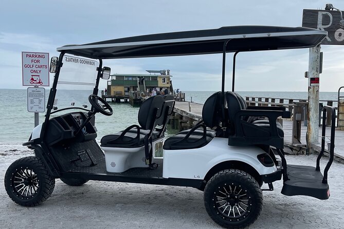 6 Passenger Golf Cart Rental Review - Rental Overview