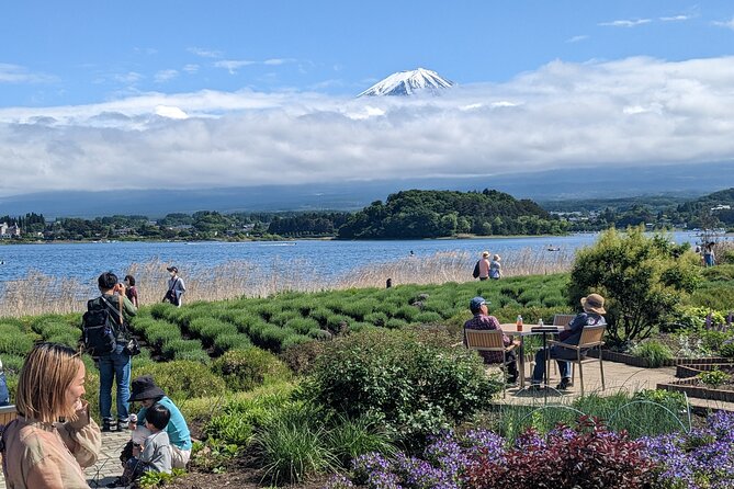 1 Day Private Mt Fuji & Lake Kawaguchiko English Speaking Driver