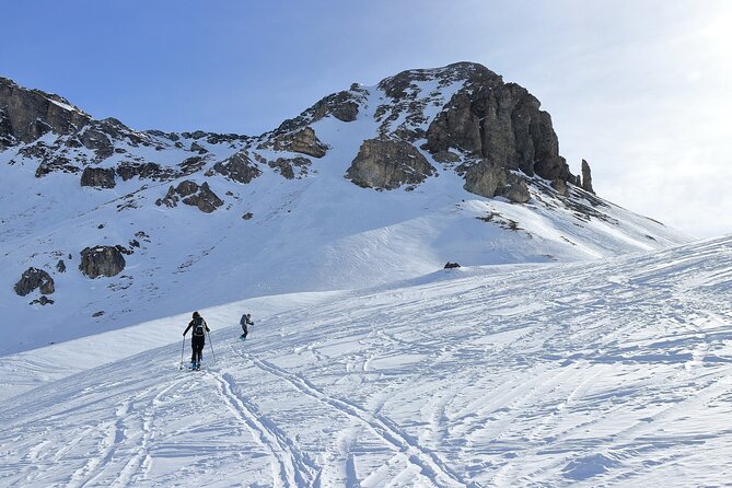 1-Day Private Ski Lesson From Tokyo/Optional Mt. Fuji Sightseeing - What to Expect