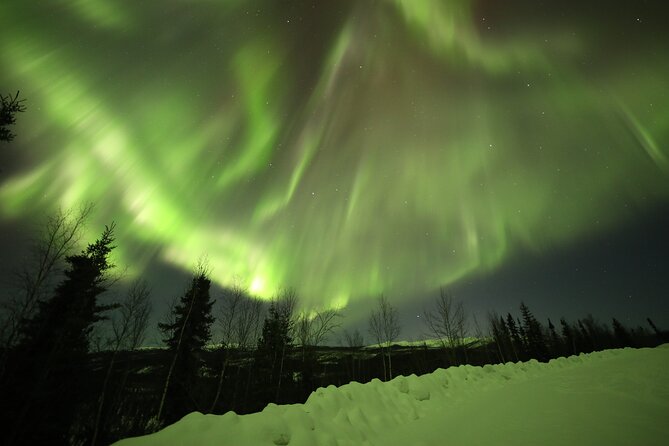 1 Day Shared Tour Arctic Circle and Aurora Viewing in Alaska - Highlights