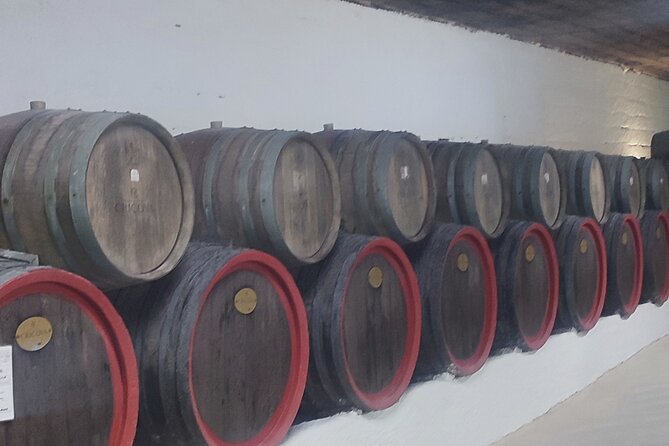 1 Day: Wine Tasting Tour to Milesti Mici and Cricova Cellar From Moldova - Discovering Cricova Cellar