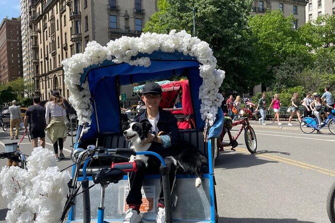1 Hour Private Guided Pedicab Tour in New York City - Accessibility and Additional Information