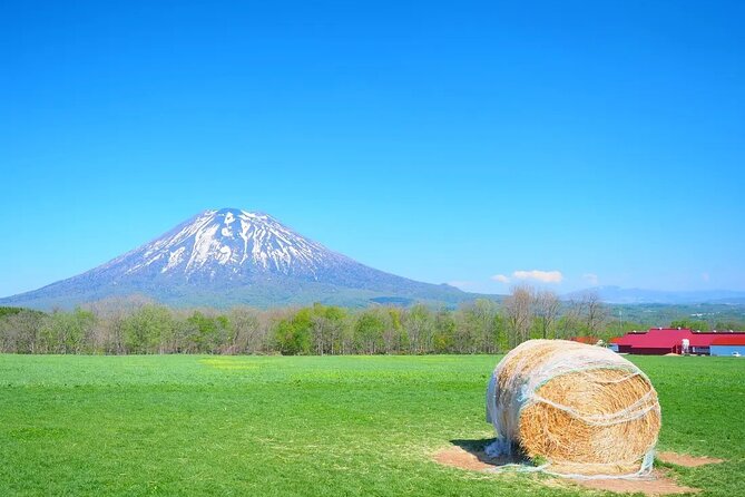1 Hour Private Photoshoot in Niseko - Capturing Memorable Moments