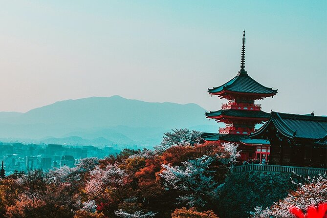10 Days In-depth Discover Japan Deluxe Tour - Tour Guide and Language Support