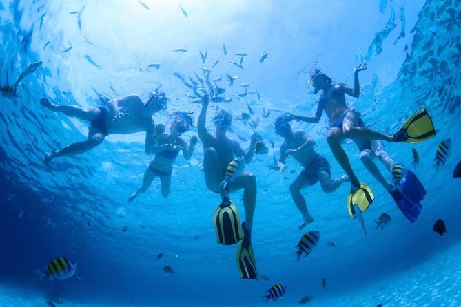 2.5 Hour Xpress Snorkel From Ka'Anapali Beach - Unforgettable Snorkeling Adventure