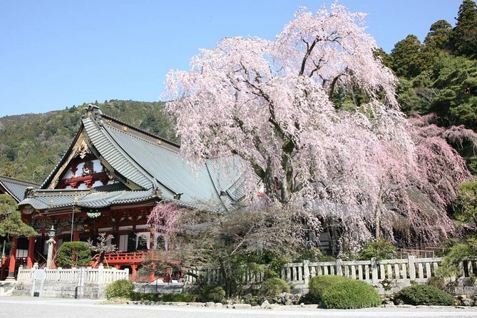 2-Day Private Guided Overnight Hike & Buddhist Temple Stay in Shichimenzan - Embracing Japanese Cultural Traditions