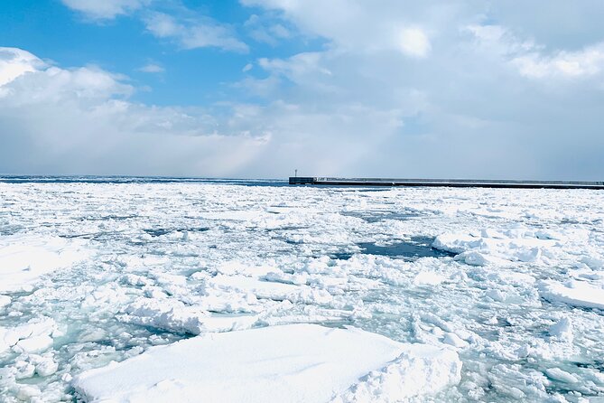 2 Day Tour to Icebreaker Mombetsu and Asahiyama Zoo in Hokkaido - Asahiyama Zoo