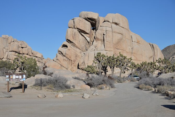 2-Days Private Tour to Joshua Tree National Park From Los Angeles - Exploring Joshua Tree National Park