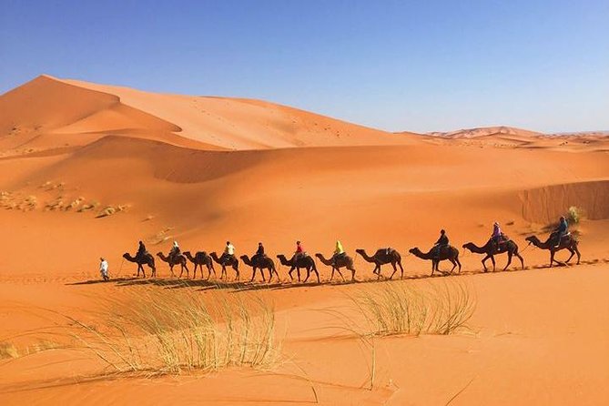 2 Days Sahara Desert Trip From Fes Return To Fes All Inclusive - Frequently Asked Questions