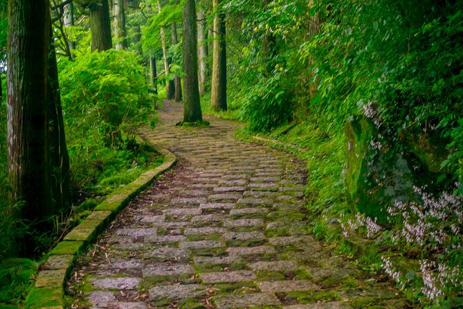 3 Day Japan Highlights Tour: Tokyo, Mt.Fuji, Nara, Kyoto, Osaka - Tour Availability and Booking