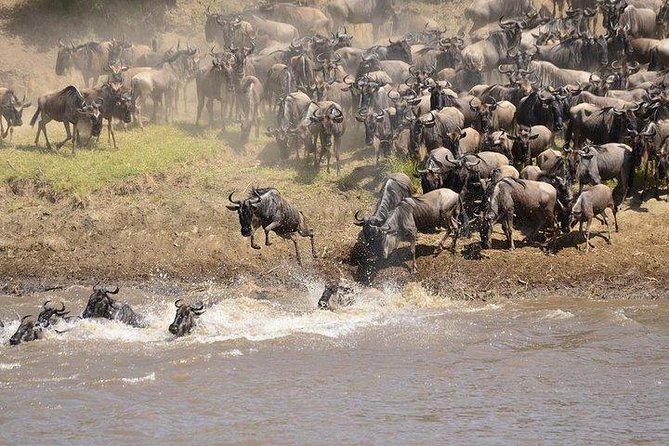3-Day Masai Mara Private Safari at Sopa Lodge From Nairobi - Optional Activities and Experiences