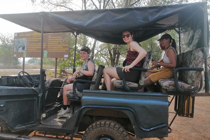 3 Days Elephants Safari at Mole Park With Round - Trip Flights - Booking Information and Pricing