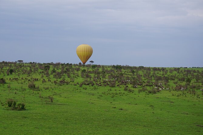 3 Days Serengeti- Ngorongoro Crater Budget Tour - Booking Information