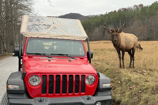3 HR Smoky Mountain, Cherokee, Blue Ridge Parkway, Jeep Adventure - Booking and Cancellation Policy