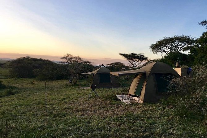 3days Tarangire,Ngorongoro Crater and Lake Manyara - Customer Reviews and Ratings