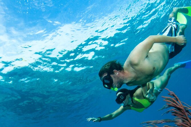 3HR Emerald Reef Snorkeling, Iguana Island and Shipwreck Tour - Meeting Point and Transportation