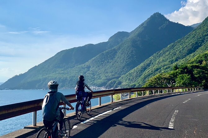 4 Hour Guided Cycling Experience in Yakushima - Exploring Yakushimas Lush Landscapes