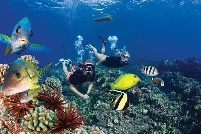4-Hour Koa Kai Molokini Adventure Snorkel - Important Information for Guests