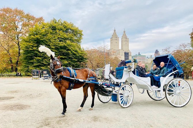 45 Minute VIP Central Park Carriage Ride - Tips for Your Carriage Ride Experience