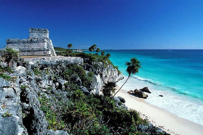 4X1 VIP Tulum, Coba, Cenote and Playa Del Carmen Tour - Customer Reviews and Feedback