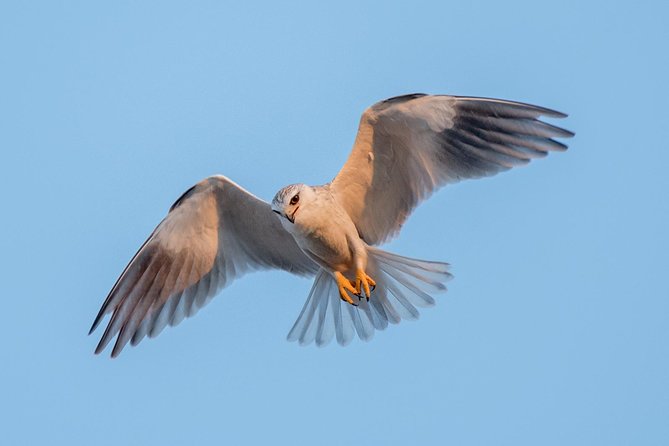 5 Day Wildlife Photographic Safari - Kruger National Park - B1 Photo Safaris - Health and Safety Information
