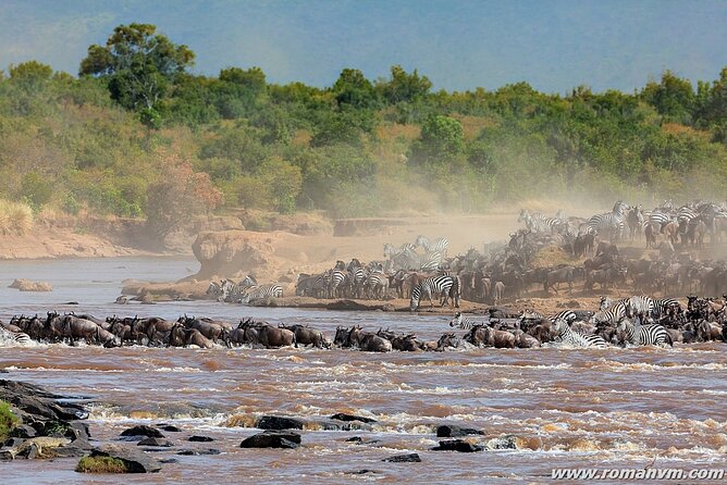 5 Days Tanzania Luxury Camping Safari - Customer Reviews and Feedback