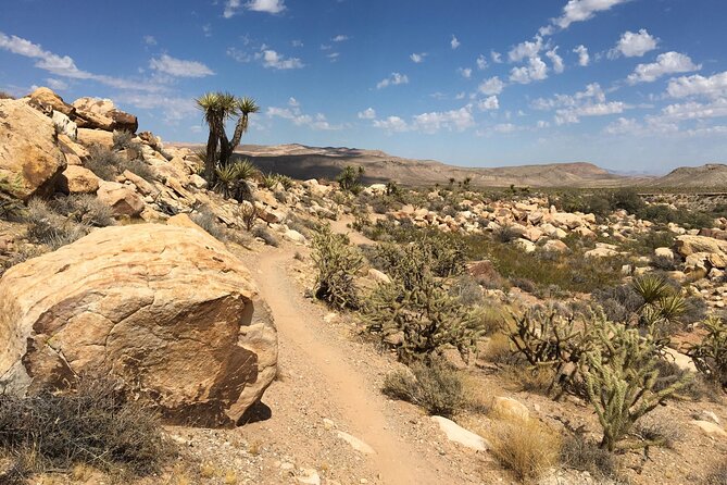 5 Hour Las Vegas Off-Road Secrets: Self Drive Jeep Adventure - Essential Tour Details and Requirements
